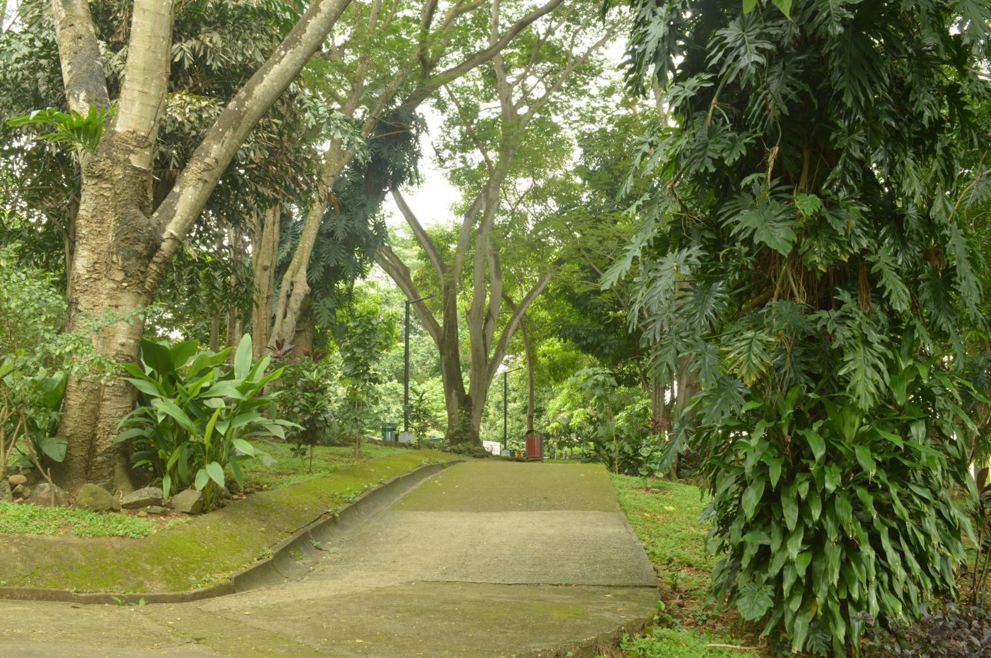 Totumas Lodge Cidade do Panamá Exterior foto